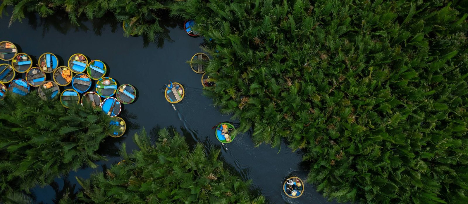 Round basket boats on a river winding through a palm forest