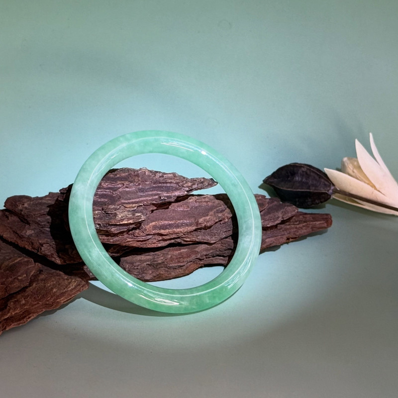 A green jade bangle resting on driftwood against a pale green background